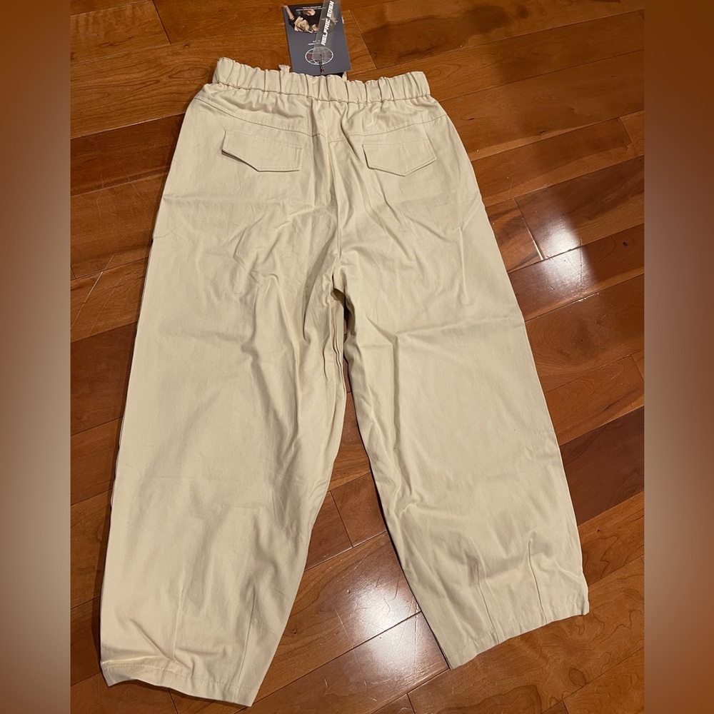 Aelfric Eden Wrinkle Baggy Pants - Picture 4 of 4